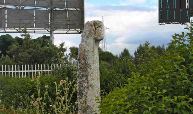 Bari e i suoi millenari Menhir: maltrattati, ignorati e nascosti. Foto